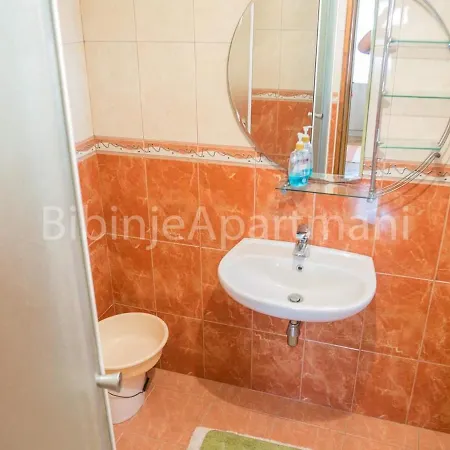Lepur Apartment Bibinje Exterior photo